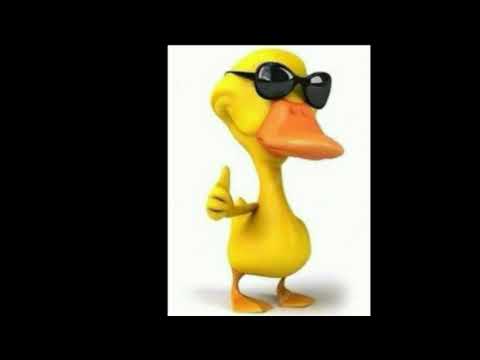 Beat do Jacquin (By:Sr.Nescau) ESTOURADO