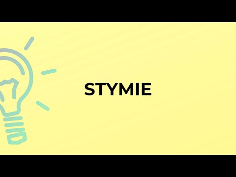 What is the meaning of the word STYMIE?