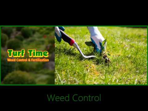 Turf Time Introduction