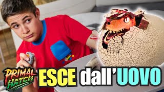 Download lagu Primal Hatch: A T-Rex hatches from the egg, just like in Jurassic World. mp3 Download lagu Primal Hatch: A T-Rex hatches from the egg, just like in Jurassic World. mp3