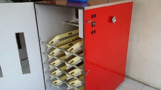 Automatic Incubator Cebu
