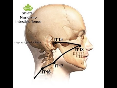 Shiatsu Meridiano dell' Intestino Tenue con esercezi Yoga. by Evelyn Vieria