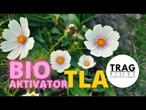 SOIL BIOACTIVATOR "TRAG BILJKE" (2021) [TRACE OF THE PLANT]
