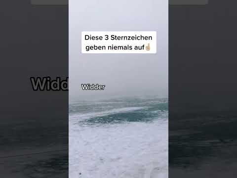 Diese 3 Sternzeichen geben niemals auf😍 #sternzeichen #horoskop #astrologie #fy #zodiac