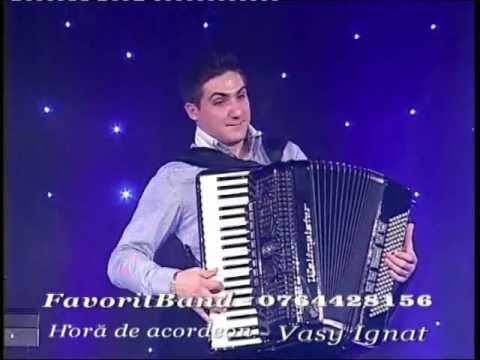 Favorit Band - Hora de acordeon - Vasy Ignat - Lautarii NeptunTV