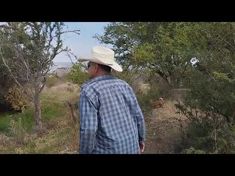 Casas  del saltito de santa fe jalisco