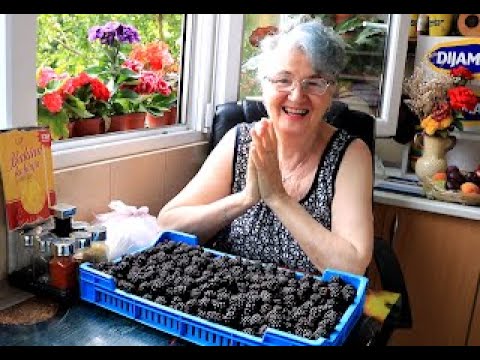 Bakina kuhinja- kako napraviti slatko i sok od kupina