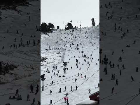 Opening Day at Mammoth Mountain - Snowboarding is alive and well!!! #snowboard
