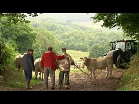 LES HOLLANDAIS DANS LE MORVAN