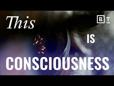 來自 4 個不同領域的專家定義了意識 (Experts from 4 different fields define consciousness)