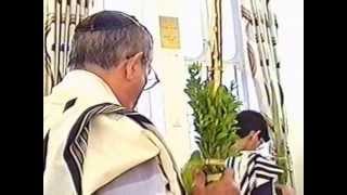 הושענא רבה 2000 - בהכ''נ אבי-דוד חולון.wmv (ידידנו היקר משה רצון ז"ל) - התמונה מוצגת ישירות מתוך אתר האינטרנט יוטיוב. זכויות היוצרים בתמונה שייכות ליוצרה. קישור קרדיט למקור התוכן נמצא בתוך דף הסרטון