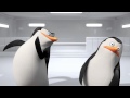 The Penguins Of Madagascar Official Video Viral Slap Fight 2014 Animation Movie HD