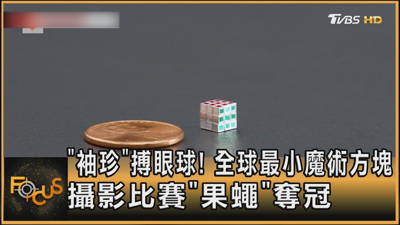 「袖珍」搏眼球！全球最小魔術方塊　攝影比賽「果蠅」奪冠