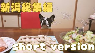 【short総集編】2025年新潟帰省⛄️