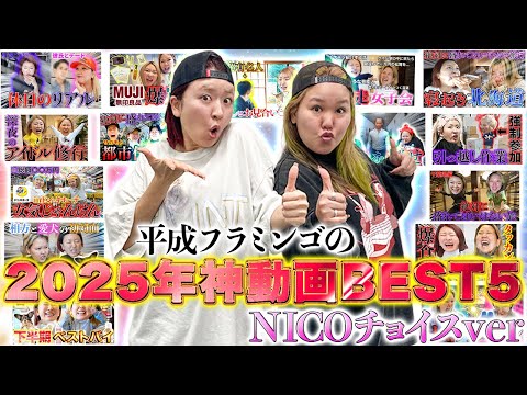 【2025総集編】平成フラミンゴにこのおすすめ動画BEST5