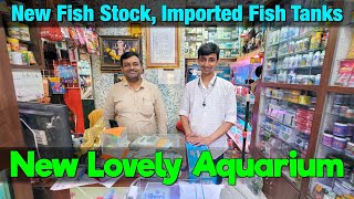 You Won't Believe the New Fish Stock at This Lovely Aquarium and Imported Fish Tanks