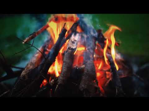 WOODSHEDDER | R&B & Soul | Funky | Quincas Moreira