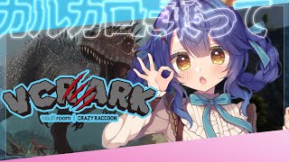 *. VCR ARK┊カルカロデビューレイドまであとすこし！