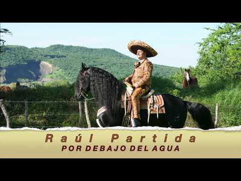 POR DEBAJO DEL AGUA Raúl Partida @RAULPARTIDA1  Suscríbete