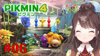 【ピクミン４】ピクミン増やします！！！！！#６【完全初見プレイ】【Vtuber】