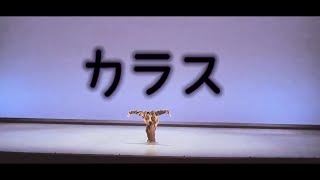 踊ってみた【カラス/うぴ子】(↓S◇↑）