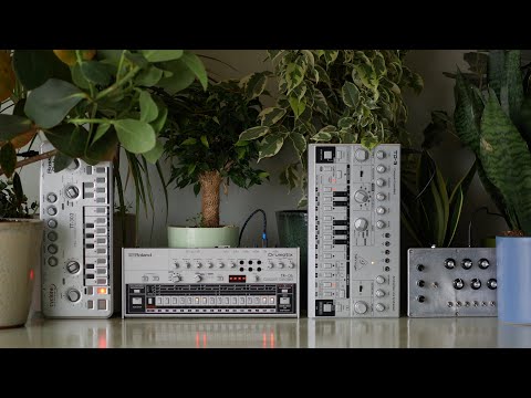 Snot Monkey - Acid 243 (TR-06, TD-3, Lefty’s King Drone, TT-303)(minimal dubby acid)