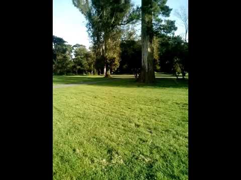 Heriberto Puebla hanging out in Hippie Hill at San Francisco Golden Gate Park - December 2016