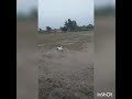 Drop Catch Like Ricky Ponting
