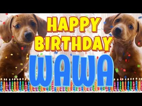 Happy Birthday Wawa! ( Funny Talking Dogs ) What Is Free On My Birthday