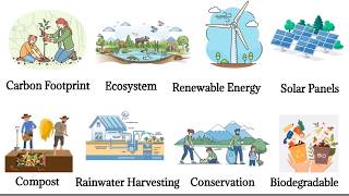 Useful English Words for Sustainable Home Discussions (Beginner Friendly) English vocabulary