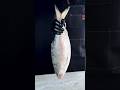 Mouthwatering Shorshe Ilish