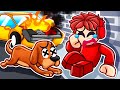 A Sad Pet Story Roblox