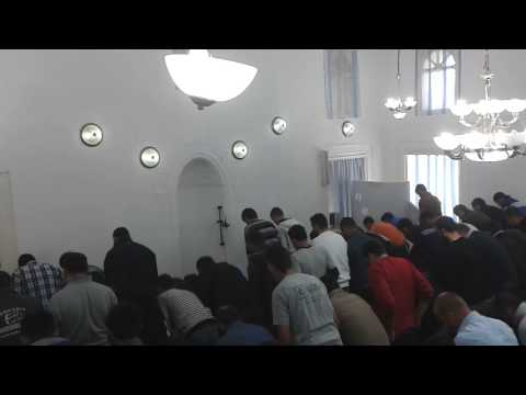 Arsim Morina Surja El - Fexhr