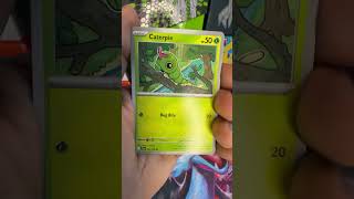 Daily Pack Opening 294: Journey Together #pokemontcg #pokemon #pokemonpulls #pokemoncards