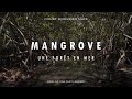 MANGROVE, UNE FORÊT EN MER (Documentaire)
