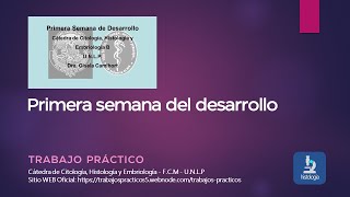PRIMERA SEMANA DEL DESARROLLO - TRABAJO PRÁCTICO