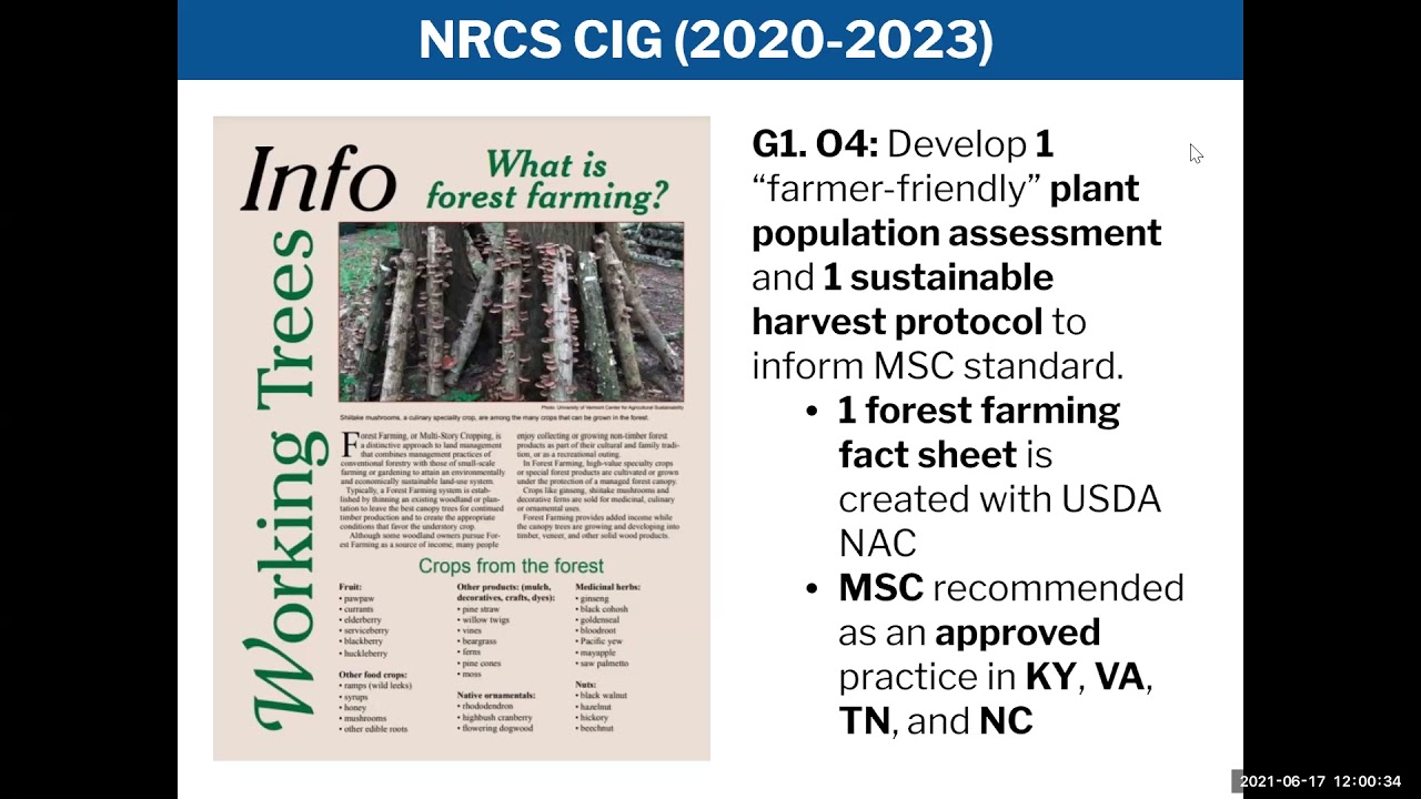 Forest Farming in Practice