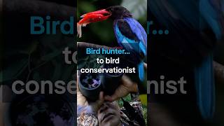 Indonesian bird hunter transforms into conservationist after life-changing moment