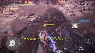 野良の方とミラボレアスに挑んだら息ぴったりすぎた