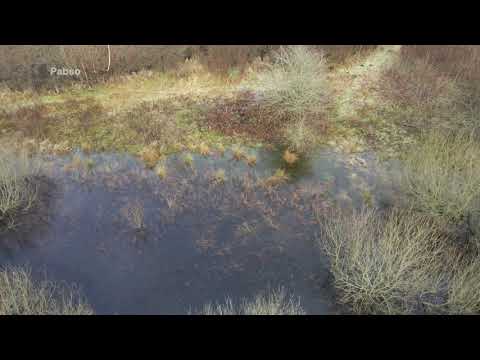 Det Skønne Midtvest - Pabso