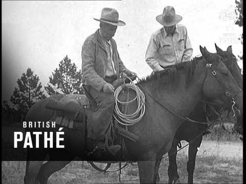 Hunting The Cattle Thieves (1937)