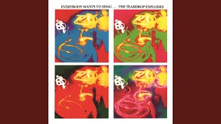 Music video thumbnail preview for Count To Ten And Run For Cover by The Teardrop Explodes