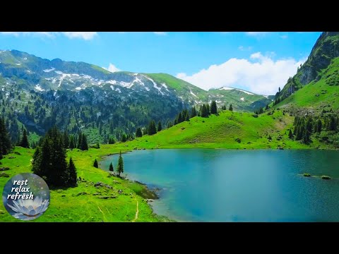 Johann Pachelbel Canon in D Violin 1 Hour with Beautiful Sceneries  - Romantic Music Instrumental