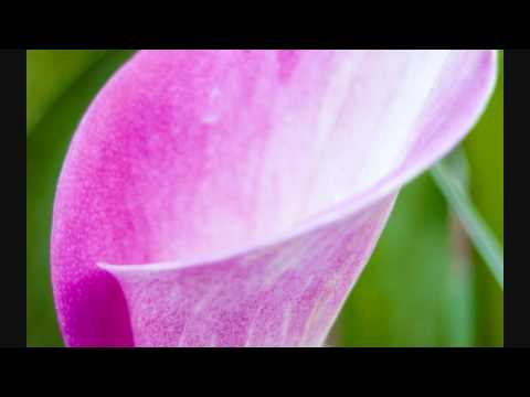Emotional Horizons - Mayflower (original mix).wmv