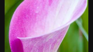 Emotional Horizons - Mayflower (original mix).wmv