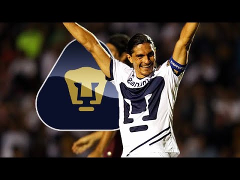 Francisco Palencia's 28 goals with Pumas
