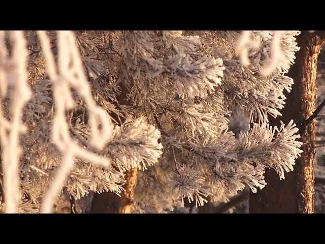 Крещенские морозы