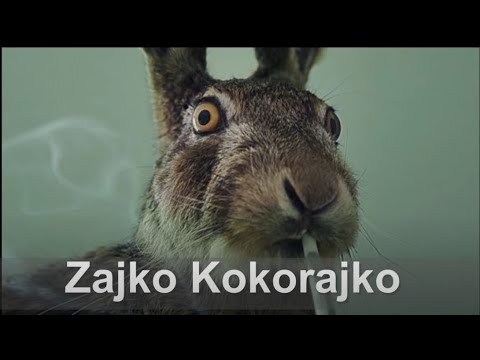 Aleksandar Sarievski  - Zajko kokorajko