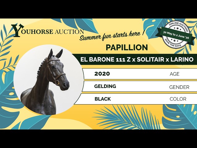 Papillion