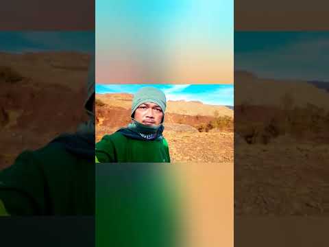 cubot kingkong mini2/camera review